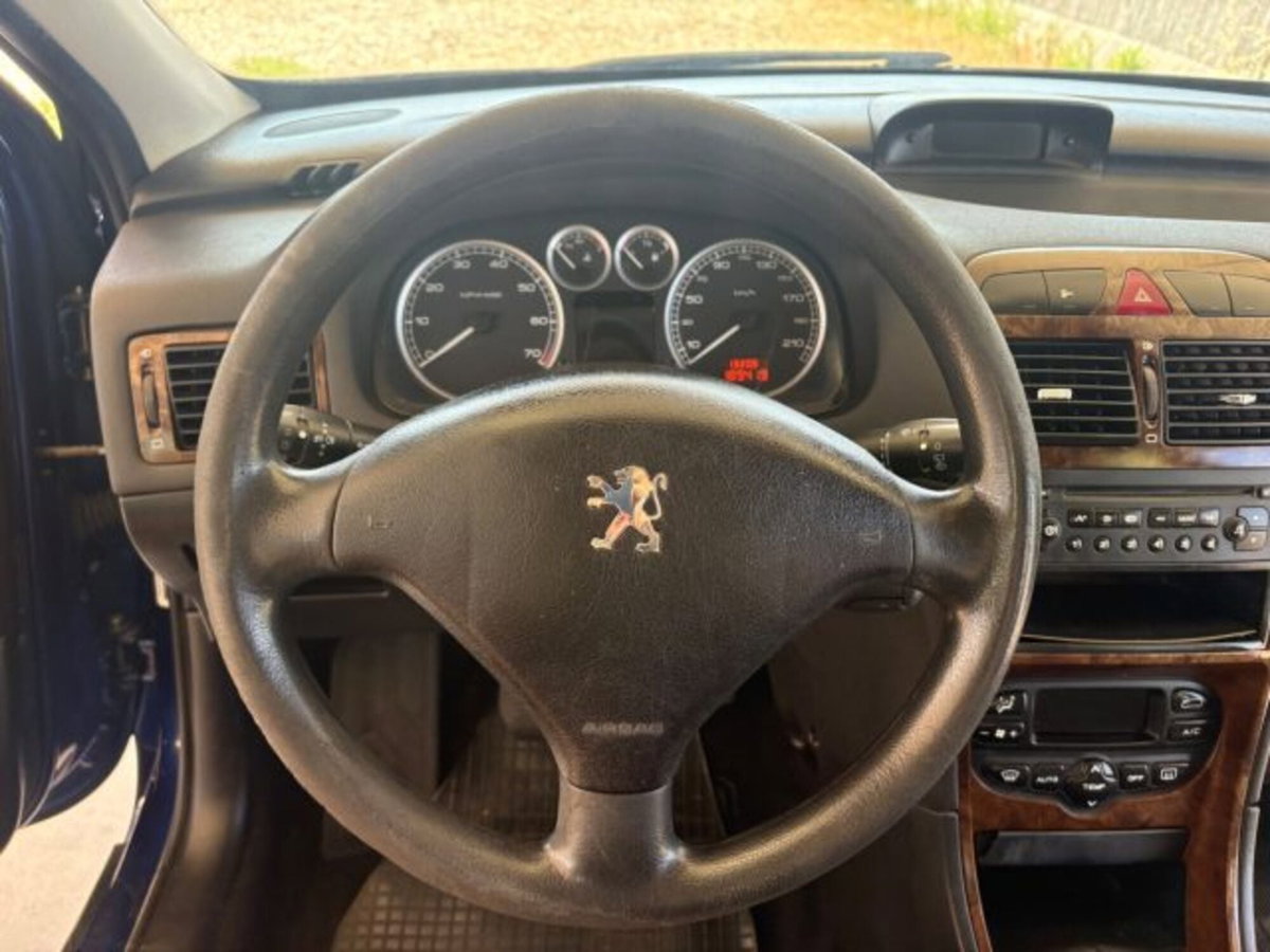 Peugeot 307 16V 5p. XS (10)