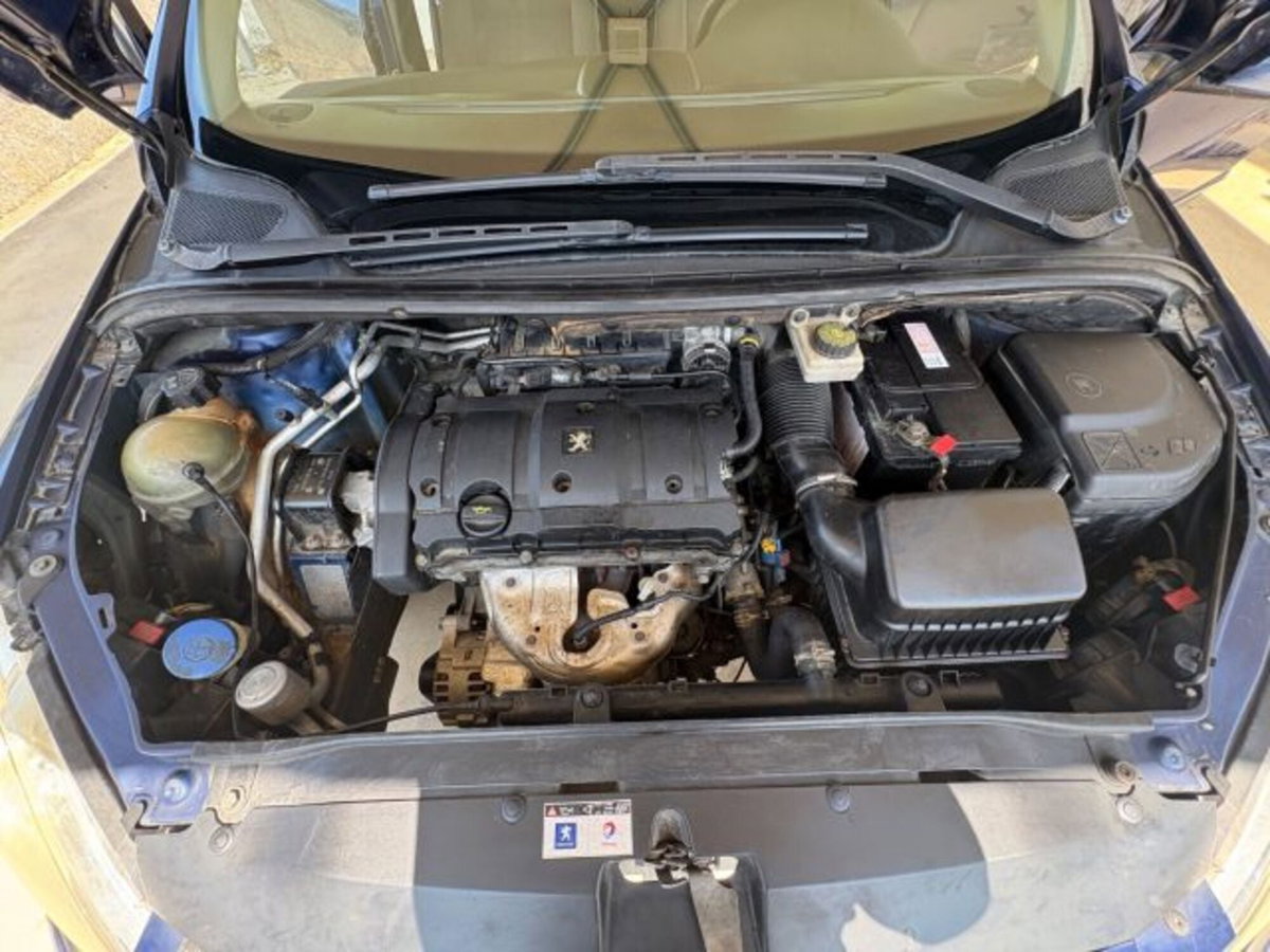 Peugeot 307 16V 5p. XS (19)