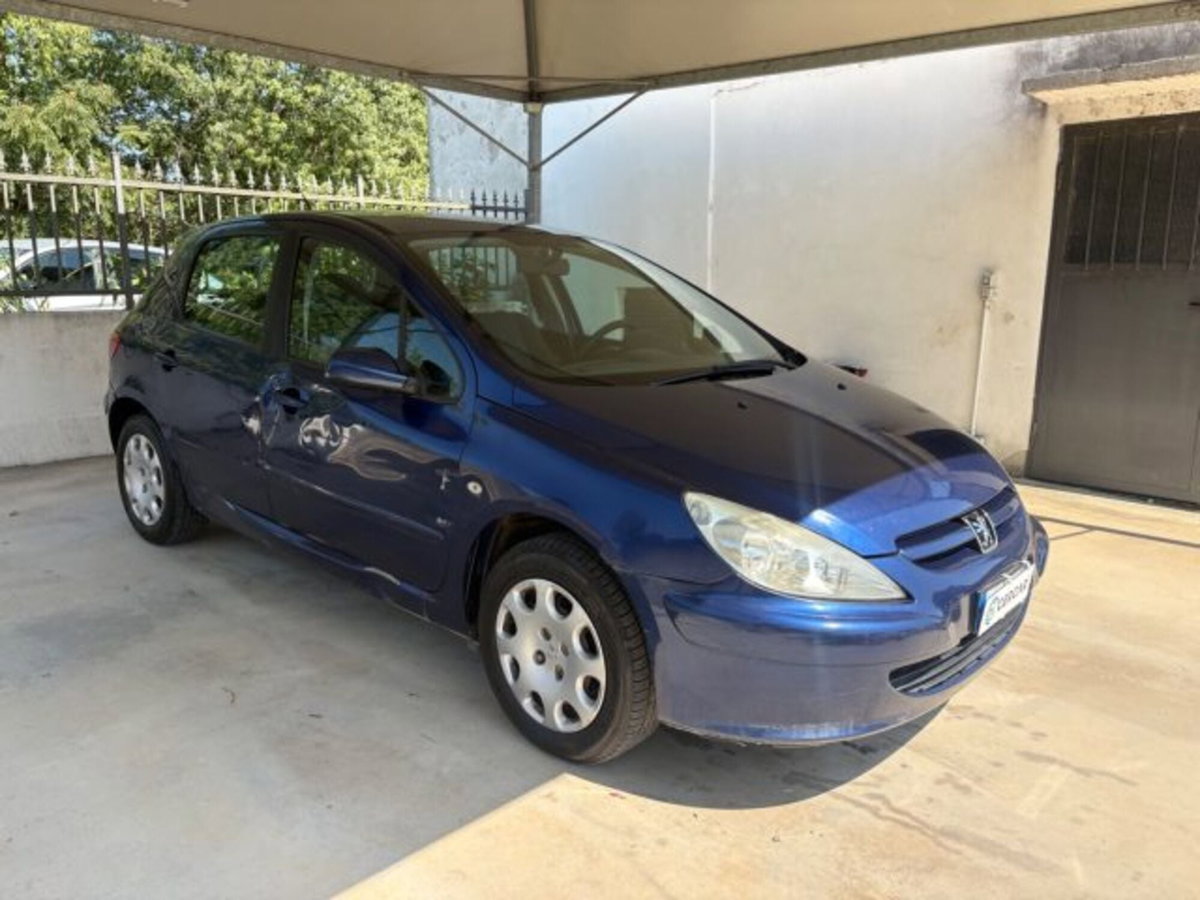 Peugeot 307 16V 5p. XS (3)