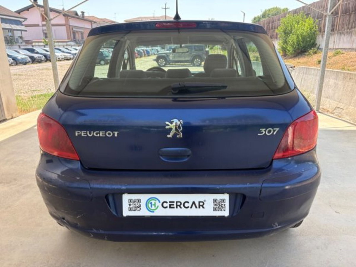 Peugeot 307 16V 5p. XS (5)