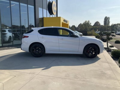 Alfa Romeo Stelvio Stelvio 2.2 Turbodiesel 210 CV AT8 Q4 Veloce (5)