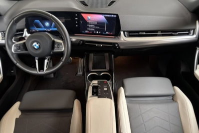 BMW X2 sdrive 20i 48V MSport auto (6)