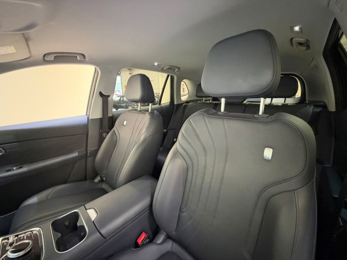 Geely Starray Starray EM-i 1.5 phev Pro auto (15)