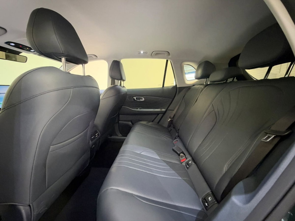 Geely Starray Starray EM-i 1.5 phev Pro auto (17)