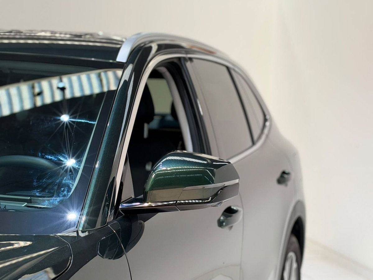 Geely Starray Starray EM-i 1.5 phev Pro auto (20)