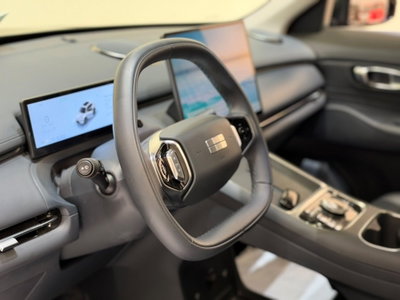 Geely Starray Starray EM-i 1.5 phev Pro auto (7)