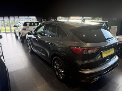 Ford Kuga 1.5 EcoBoost 150 CV 2WD ST-Line (3)