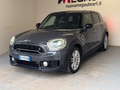 MINI Mini Countryman 2.0 Cooper D Business Countryman ALL4 (4)