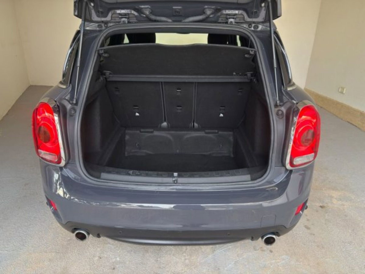 MINI Mini Countryman 2.0 Cooper D Business Countryman ALL4 (8)