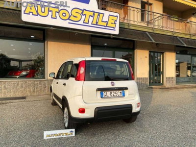 Fiat Panda van 1.0 hybrid Street 70cv 4p.ti serie 4 E6d (11)