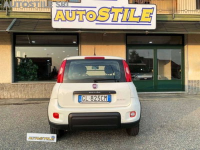 Fiat Panda van 1.0 hybrid Street 70cv 4p.ti serie 4 E6d (5)