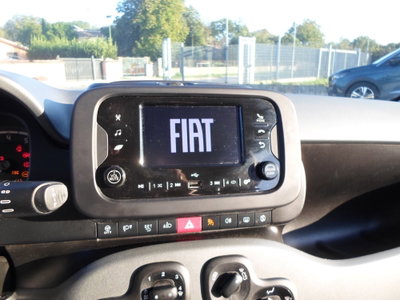 Fiat Panda Cross Cross 1.0 FireFly S&S Hybrid (17)