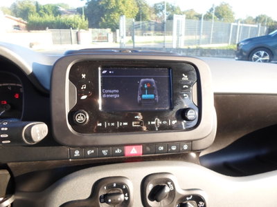 Fiat Panda Cross Cross 1.0 FireFly S&S Hybrid (19)