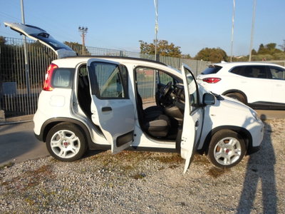 Fiat Panda Cross Cross 1.0 FireFly S&S Hybrid (6)
