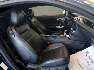 Ford Mustang Coupé Fastback 2.3 EcoBoost (16)