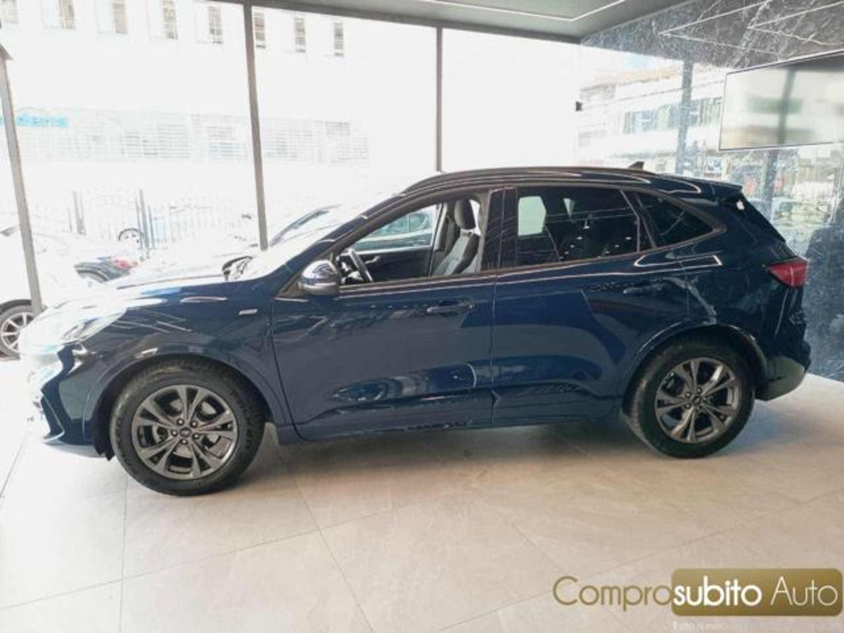 Ford Kuga 1.5 EcoBlue 120 CV 2WD Titanium (4)