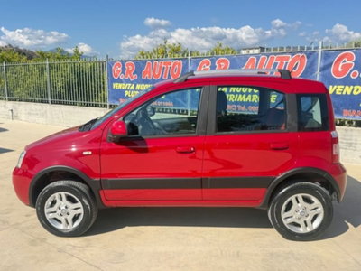 Fiat Panda 1.3 MJT 16V 4x4 (5)