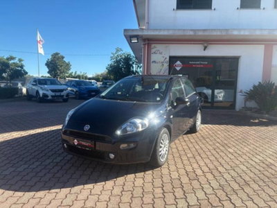 Fiat Punto 1.3 MJT II S&S 95 CV 5 porte Street (2)