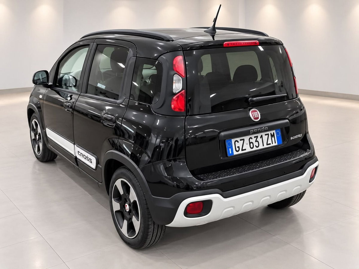 Fiat Panda Cross Cross 1.0 FireFly S&S Hybrid (3)