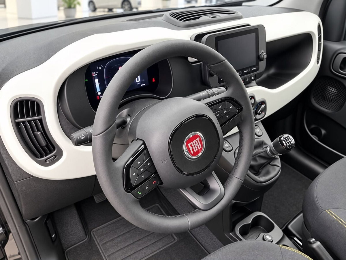 Fiat Panda Cross Cross 1.0 FireFly S&S Hybrid (6)