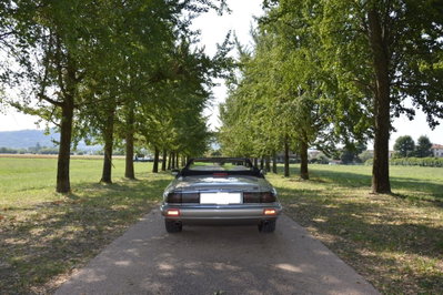 Jaguar XJS 4.0 cat Convertible (10)