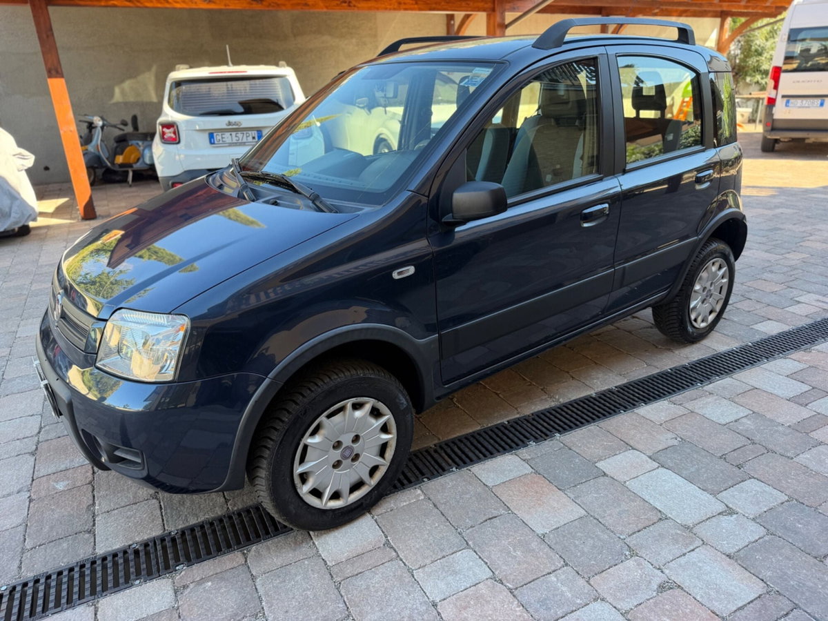 Fiat Panda 1.2 4x4 Climbing (3)