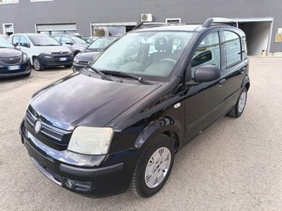 Fiat Panda 1.2 Dynamic usata