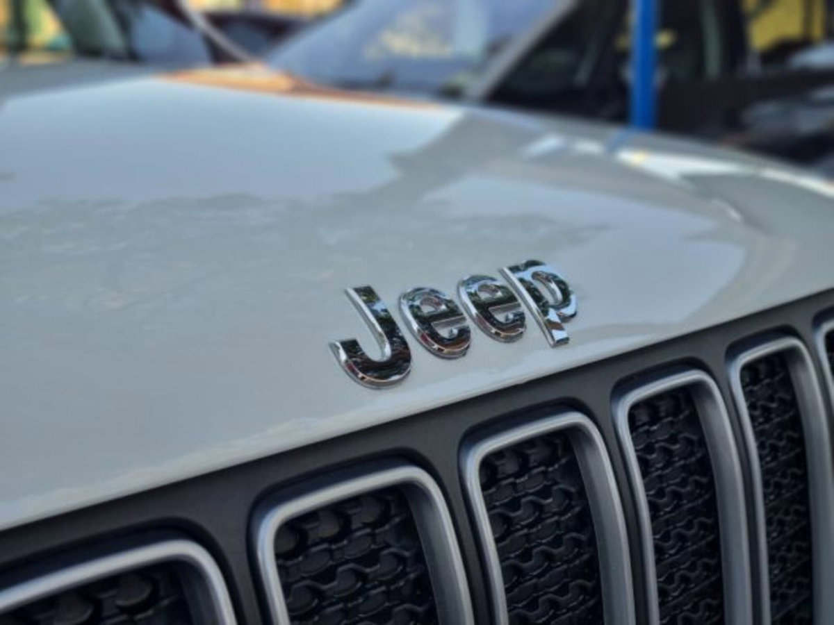 Jeep Renegade 1.5 Turbo T4 MHEV S (15)