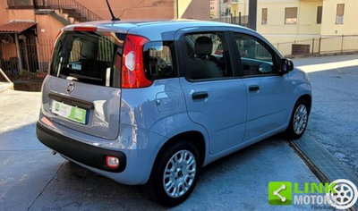 Fiat Panda 1.0 firefly hybrid s&s 70cv 5p.ti (4)