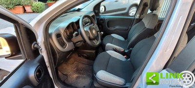 Fiat Panda 1.0 firefly hybrid s&s 70cv 5p.ti (7)