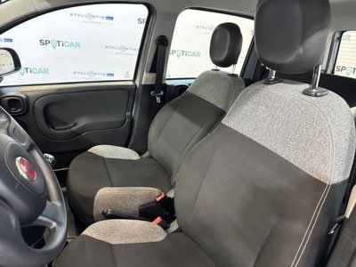 Fiat Panda Cross Cross 1.0 FireFly S&S Hybrid (17)