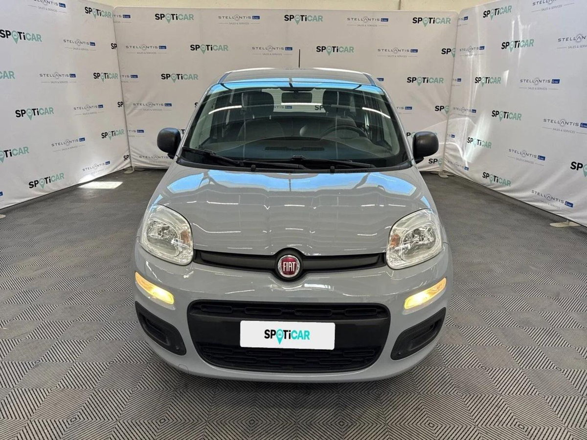 Fiat Panda Cross Cross 1.0 FireFly S&S Hybrid (2)
