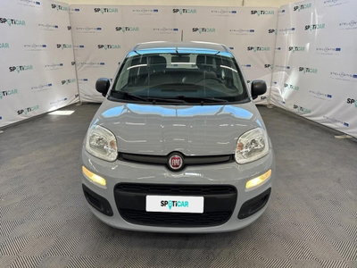 Fiat Panda Cross Cross 1.0 FireFly S&S Hybrid (2)