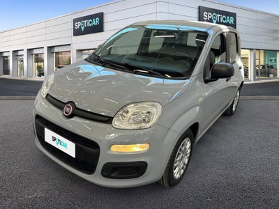 Fiat Panda Cross Cross 1.0 FireFly S&S Hybrid (3)