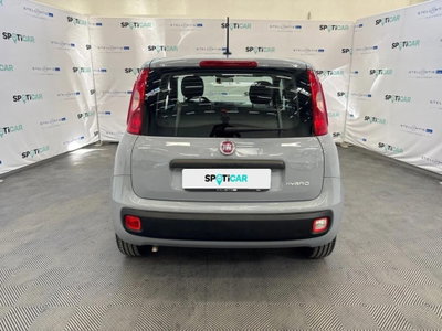 Fiat Panda Cross Cross 1.0 FireFly S&S Hybrid (4)