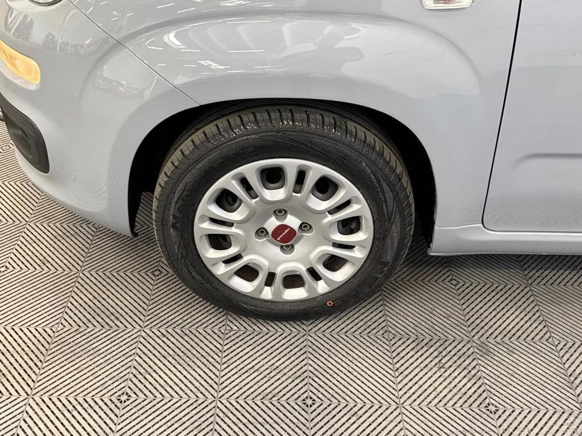 Fiat Panda Cross Cross 1.0 FireFly S&S Hybrid (8)