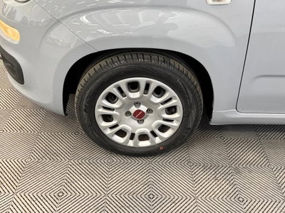Fiat Panda Cross Cross 1.0 FireFly S&S Hybrid (8)