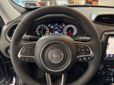 Jeep Renegade 1.5 Turbo T4 MHEV Limited (12)