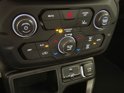Jeep Renegade 1.5 Turbo T4 MHEV Limited (15)