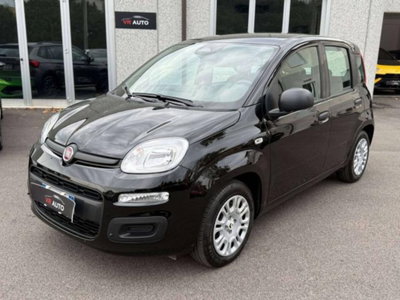 Fiat Panda 1.0 FireFly S&S Hybrid usata