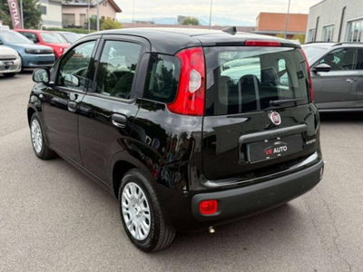 Fiat Panda 1.0 FireFly S&S Hybrid (3)