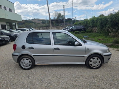 Volkswagen Polo 1.4 cat 5 porte Comfortline Air (7)
