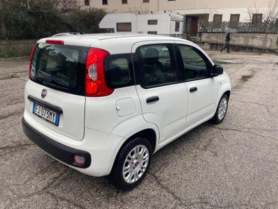 Fiat Panda 1.3 MJT 95 CV S&S Easy (3)