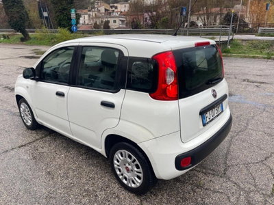 Fiat Panda 1.3 MJT 95 CV S&S Easy (6)