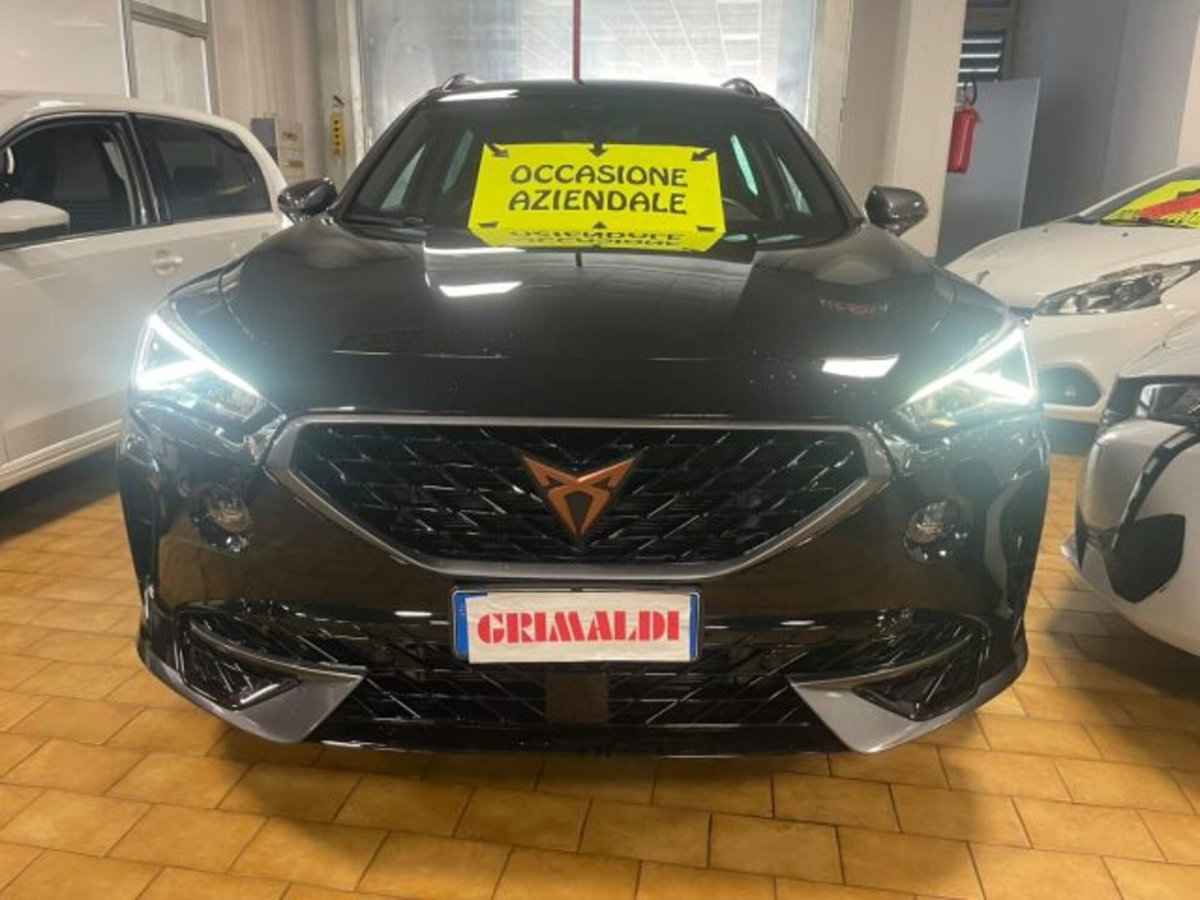 Cupra Formentor Formentor 1.5 TSI (2)
