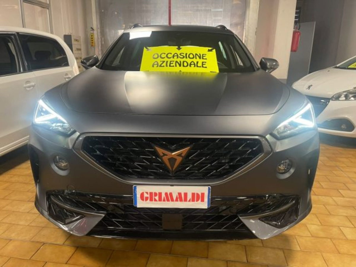 Cupra Formentor Formentor 1.5 TSI (2)
