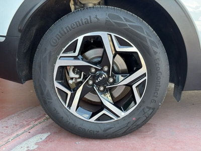 Kia Sportage 1.6 crdi mhev Business dct (9)