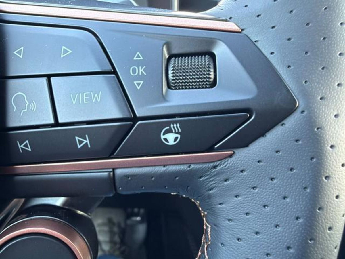 Cupra Formentor 1.5 hybrid 150cv dsg (9)