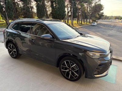 Volkswagen Tiguan 2.0 tdi R-Line 150cv dsg (3)