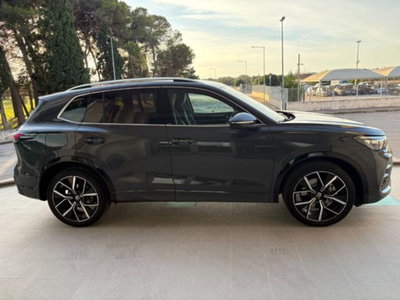 Volkswagen Tiguan 2.0 tdi R-Line 150cv dsg (4)